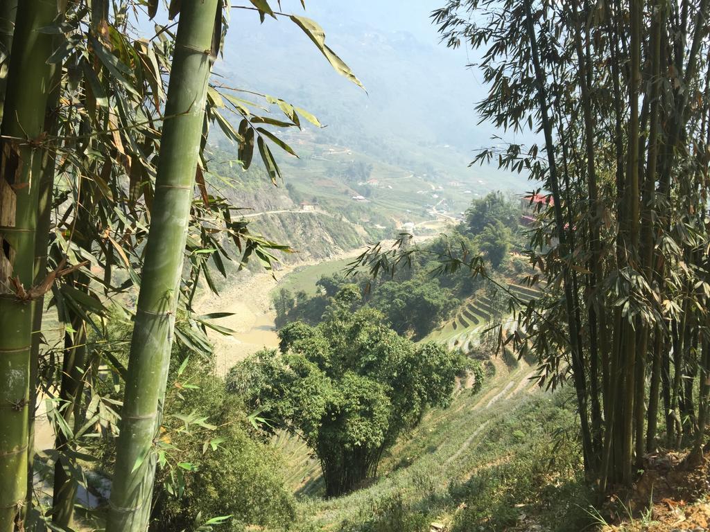 Freedom Homestay & Trekking Sa Pa Exterior foto