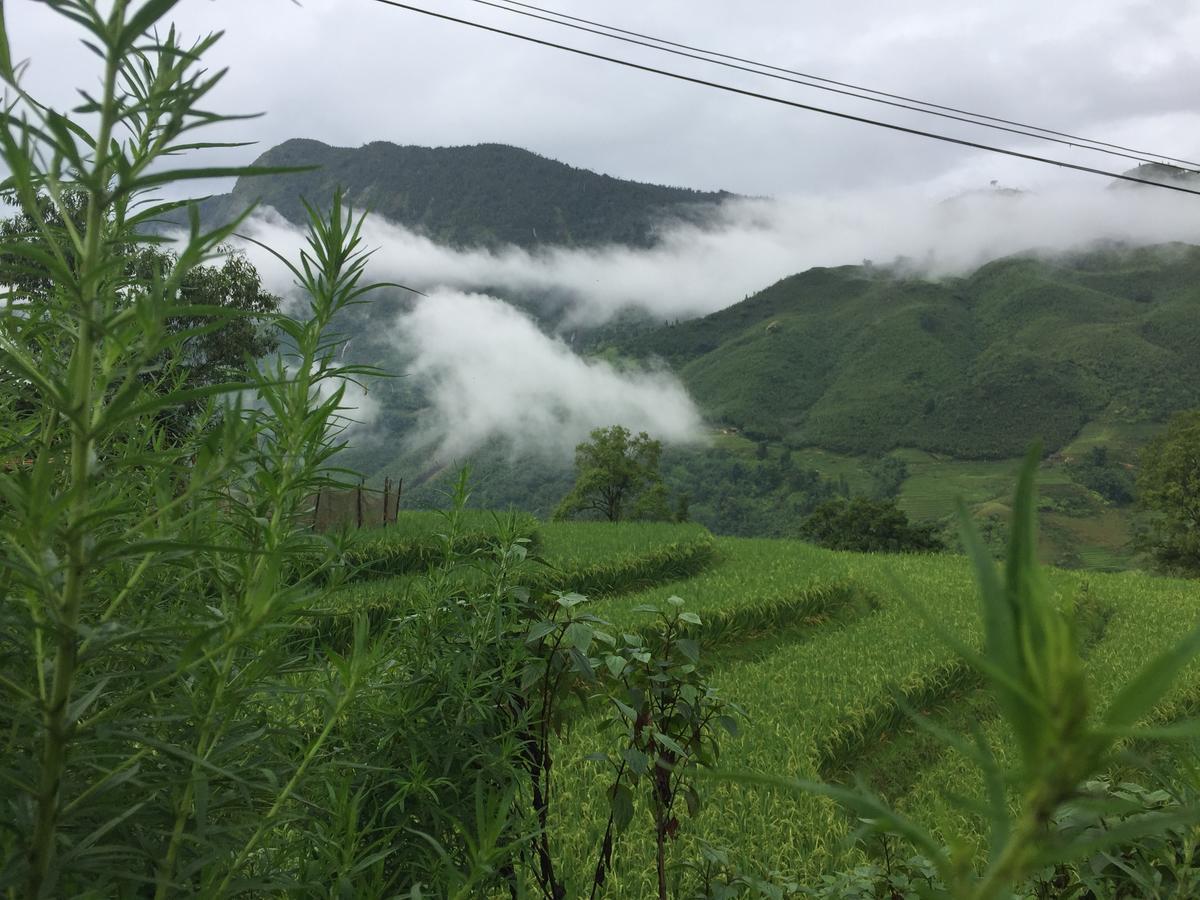 Freedom Homestay & Trekking Sa Pa Exterior foto