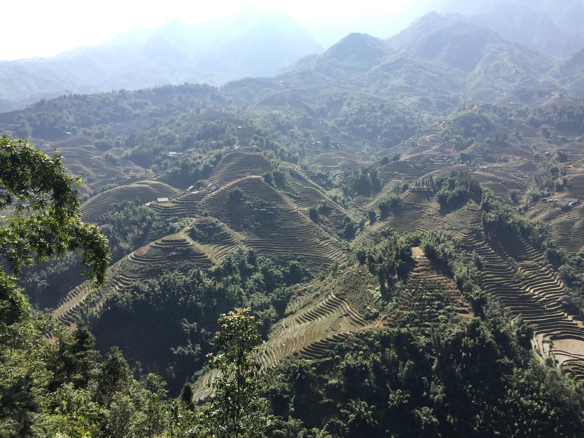 Freedom Homestay & Trekking Sa Pa Exterior foto